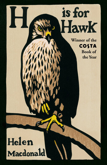 Thumbnail for H is for hawk